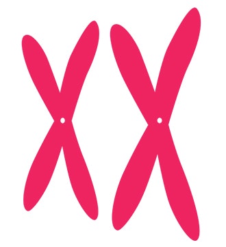 eXXhibition by Candy Medusa