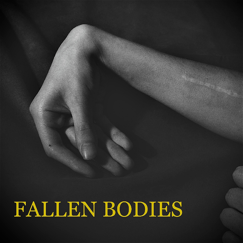 Fallen Bodies Image