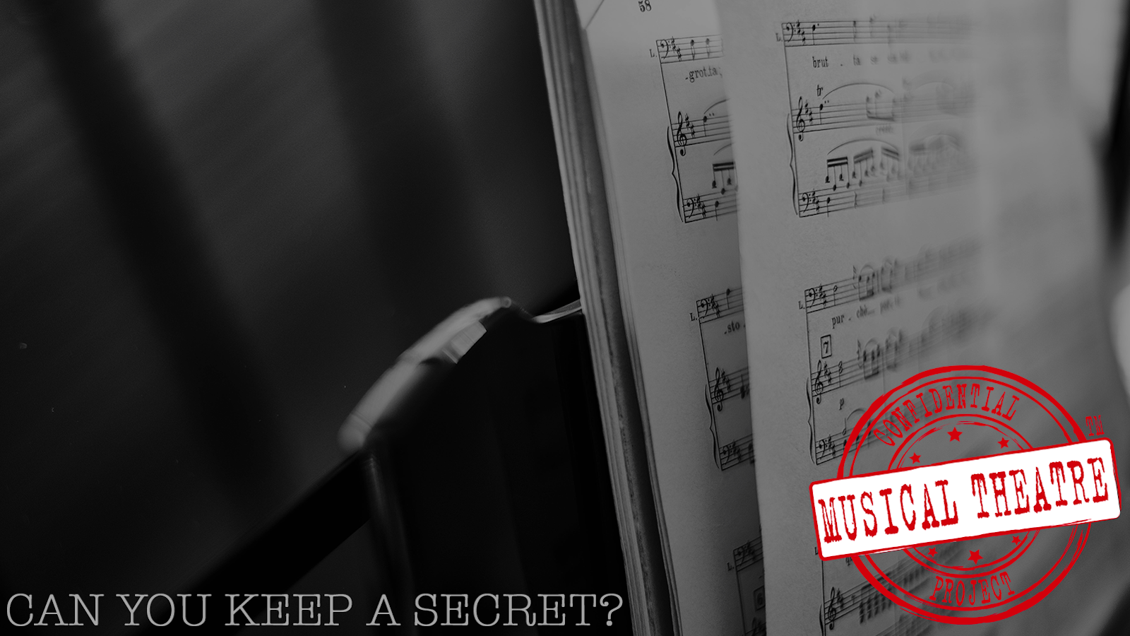 Confidential Musical Theatre Project