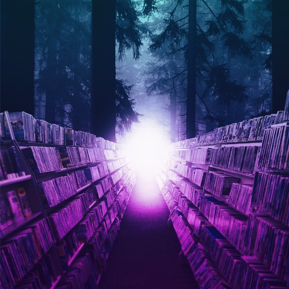 The Best Show in Town is at Your Place Every Night